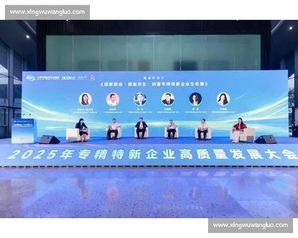 聚焦业绩持续增长驱动高质量发展实现价值全面跃升新动能与竞争力提升路径